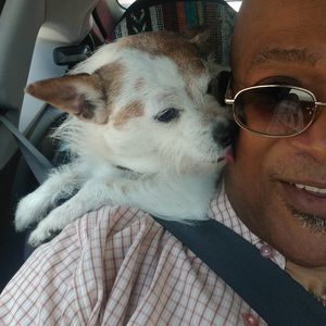 Meet your Posher, Ernie